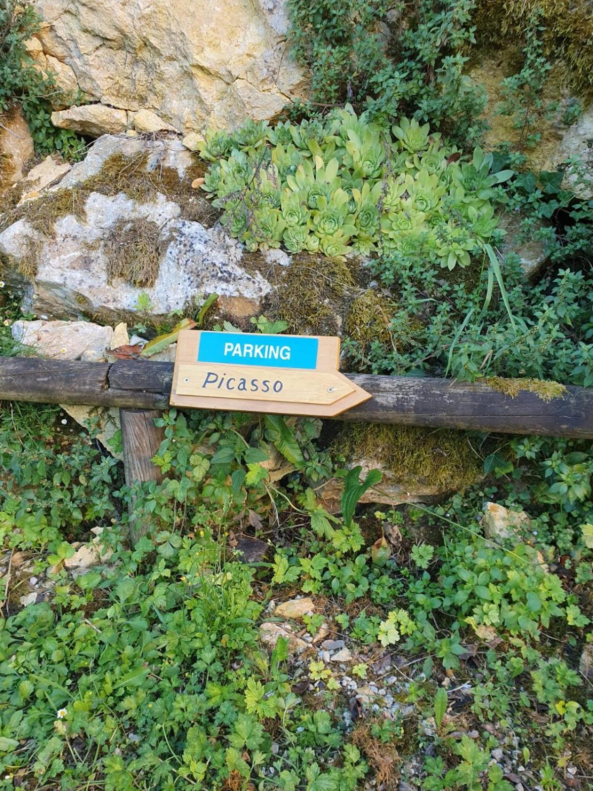 Residence Les Trois Jardins Avec Wifi Et Parking Gratuit Sarlat-la-Canéda Exterior foto